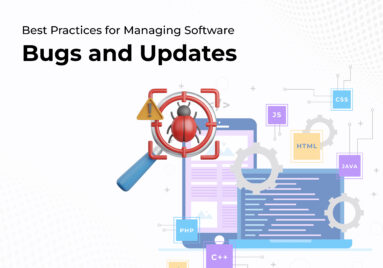Best Practices for Managing Software Bugs and Updates