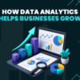 How Data Analytics Helps Businesses Grow